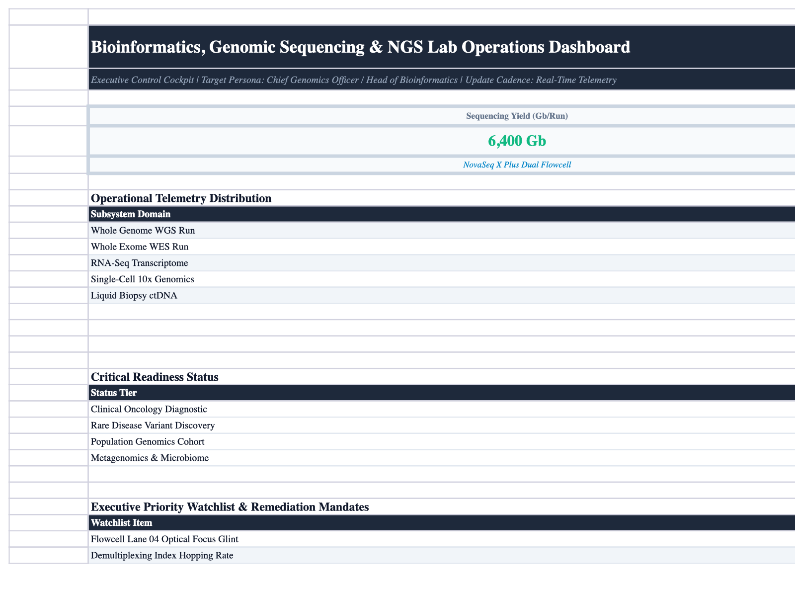 Executive Cockpit Sheet Screenshot